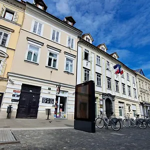 Viksi Pensionat
